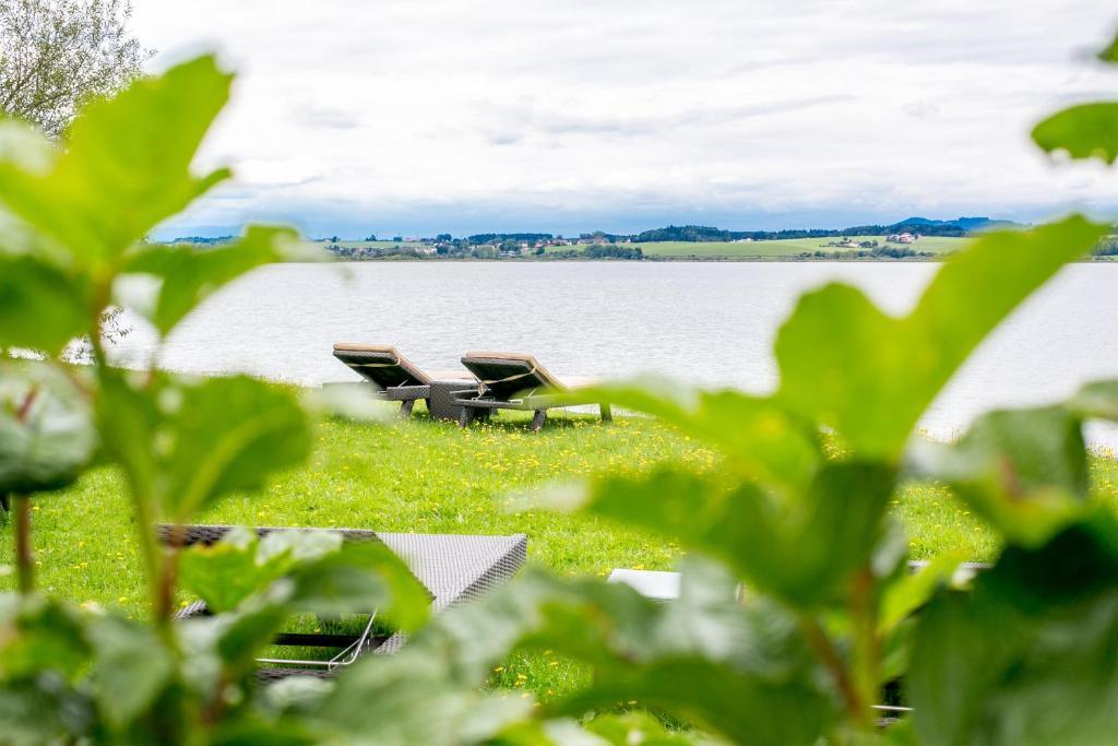 Hotel Seebrunn Am Wallersee เฮนน์ดอร์ฟ อัม วัลลาร์ซี ภายนอก รูปภาพ